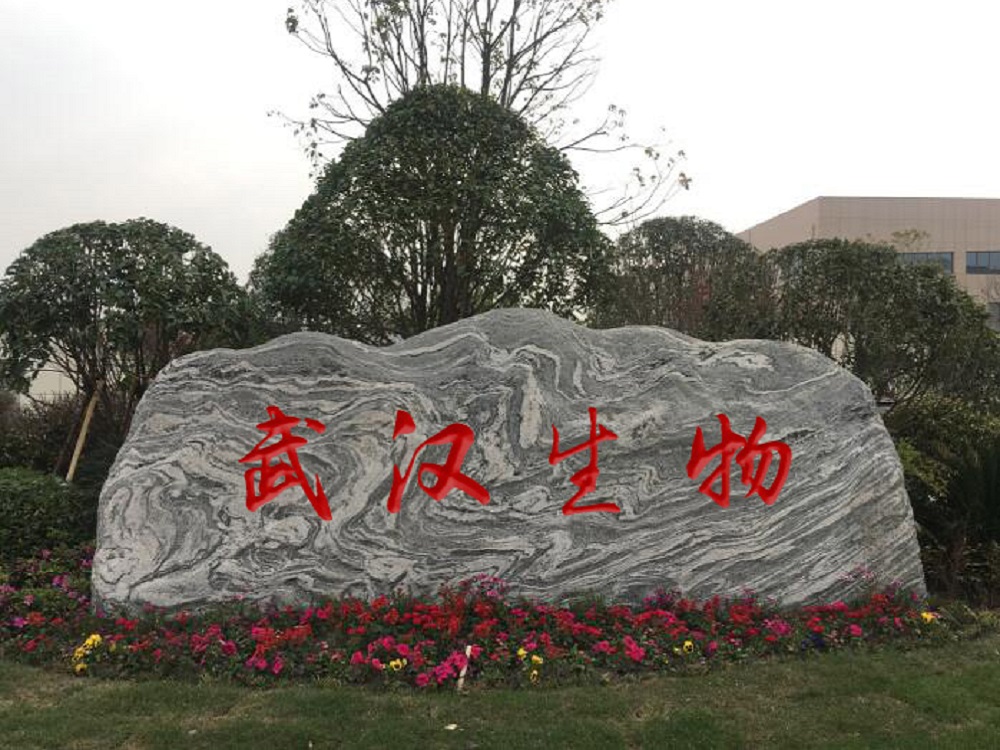 武漢生物景觀(guān)石